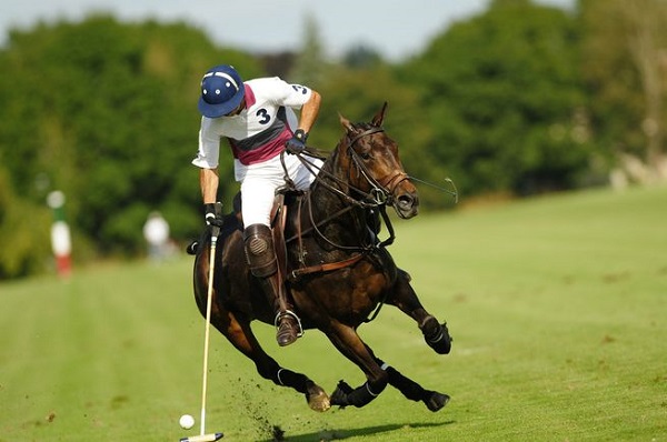 Polo Open de france