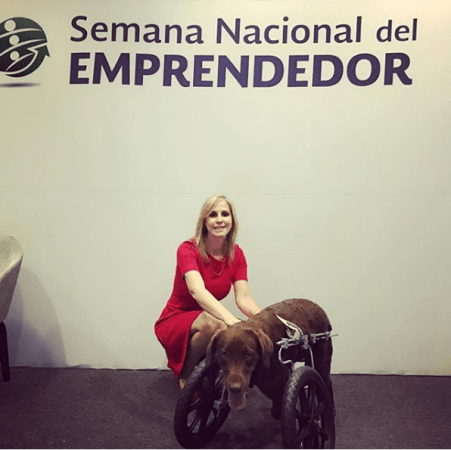 fundación milagros caninos.png